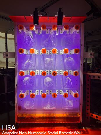 LISA Prototype